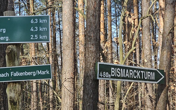 Foto: Bernd Müller NaturFreunde Oberbarnim, Lizenz: Bernd Müller NaturFreunde Oberbarnim