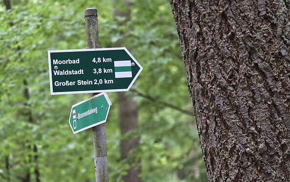 Foto: Bernd Müller NaturFreunde Oberbarnim, Lizenz: Bernd Müller NaturFreunde Oberbarnim