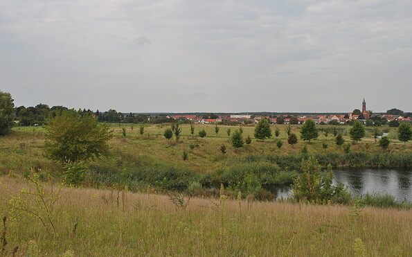 Foto: Anke Braune, Lizenz: Naturparkverwaltung Hoher Fläming