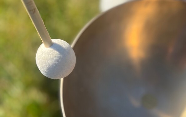 Foto: Marie Rodewald, Lizenz: Marie Rodewald