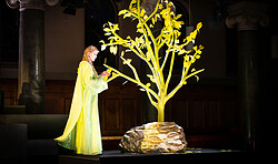 Potsdamer Winteroper: Zanaida