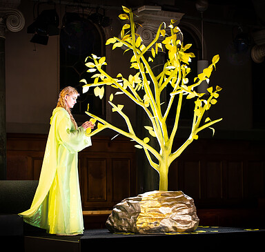 Potsdamer Winteroper: Zanaida