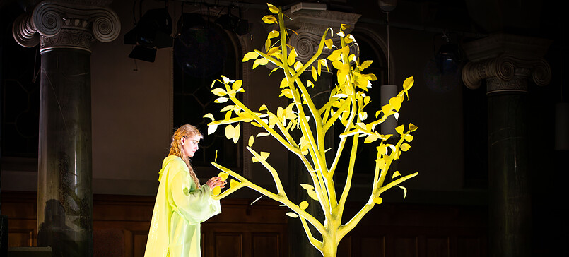 Potsdamer Winteroper: Zanaida