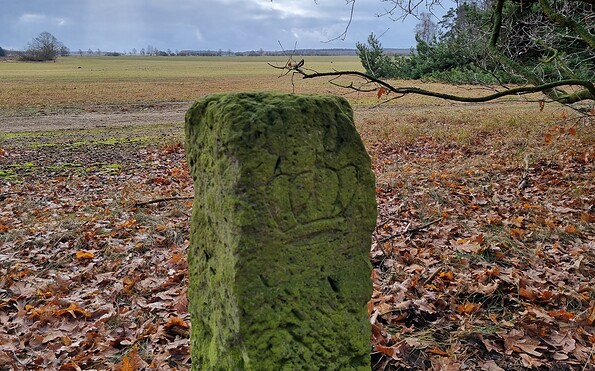 Foto: Anke Braune, Lizenz: Naturparkverwaltung Hoher Fläming
