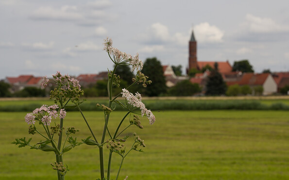 Foto: Bansen/Wittig, Lizenz: Bansen/Wittig