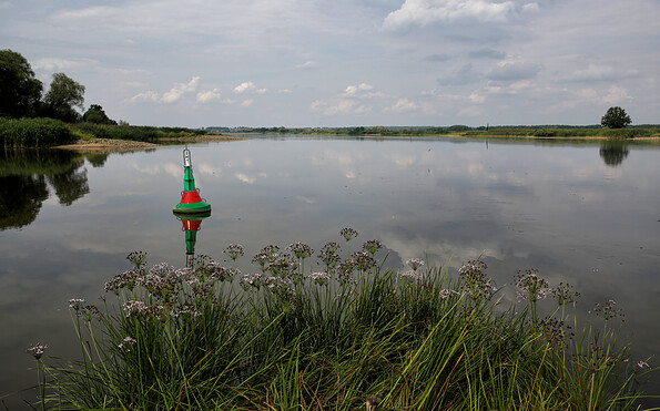 Foto: NABU/Volker Gehrmann