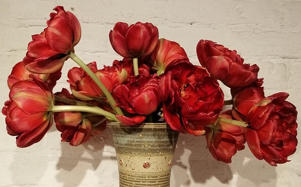 Foto: Norma Strauß, Lizenz: Norma Strauß