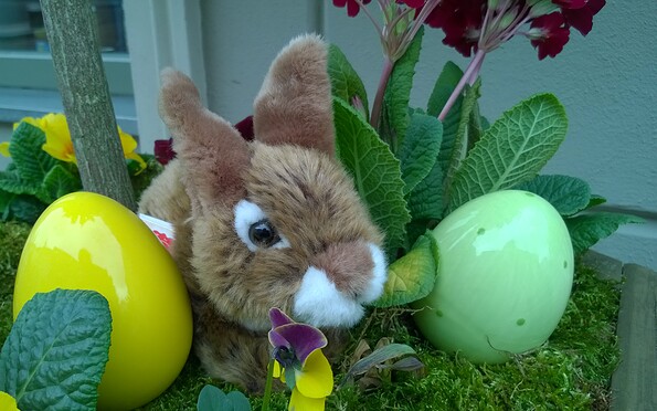 Foto: Touristinformation Lychen, Lizenz: Touristinformation Lychen