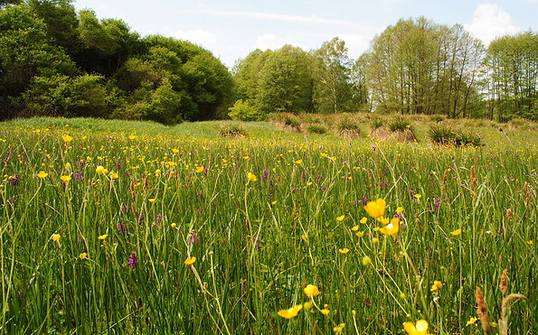 Foto: Anke Braune, Lizenz: Naturparkverwaltung Hoher Fläming