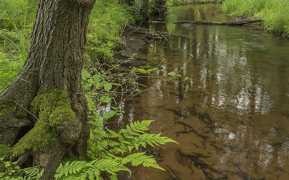 Foto: Steffen Bohl, Lizenz: Steffen Bohl