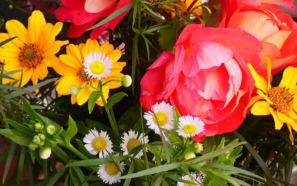 Foto: Denise Rose, Lizenz: Denise Rose