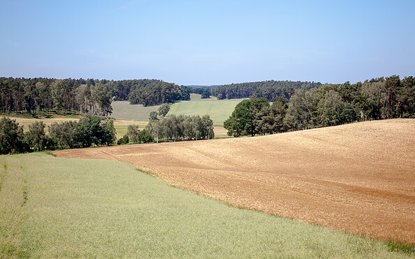 Foto: Jedrzej Marzecki , Lizenz: Tourismusverband Fläming e.V.