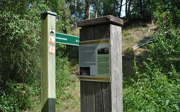Foto: Anke Braune, Lizenz: Naturparkverwaltung Hoher Fläming