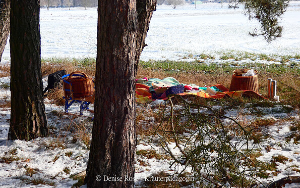 Foto: Denise Rose, Lizenz: Denise Rose