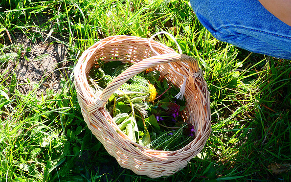 Foto: Denise Rose, Lizenz: Denise Rose