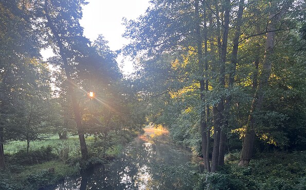 Foto: © rbb/Wolfgang Albus