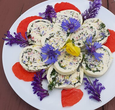 Kräuterwanderung im Frühling