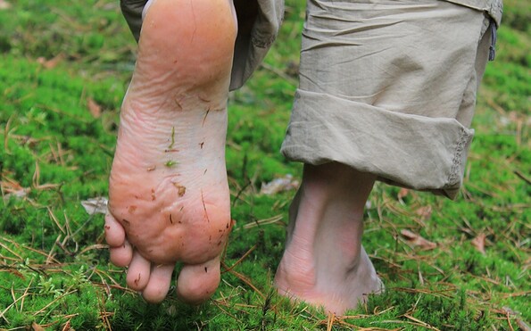 Foto: Bansen/Wittig, Lizenz: Bansen/Wittig