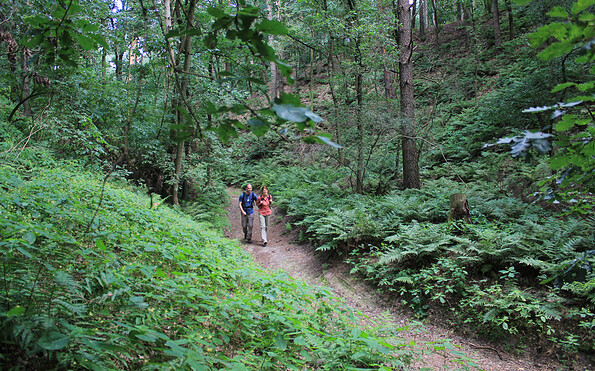Foto: Bansen/Wittig, Lizenz: Bansen/Wittig