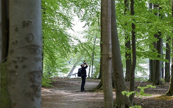 Foto: Thomas Rathay, Lizenz: Thomas Rathay