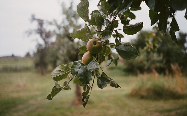 Foto: Merk&amp;Mark, Lizenz: Merk&amp;Mark