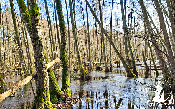 Foto: Maria Böhme, Lizenz: Abfallstreife e.V.