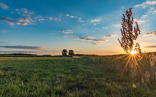 Foto: Thomas Rathay, Lizenz: Thomas Rathay