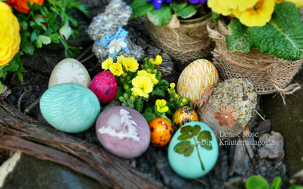 Foto: Denise Rose, Lizenz: Denise Rose