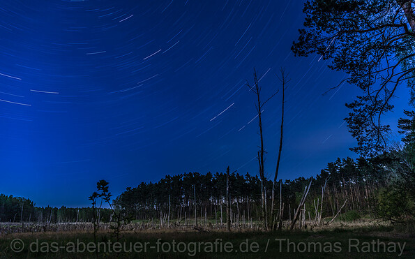 Foto: Thomas Rathay, Lizenz: Thomas Rathay