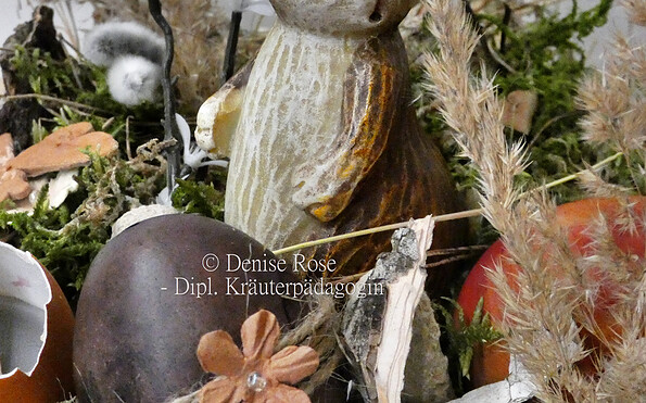 Foto: Denise Rose, Lizenz: Denise Rose