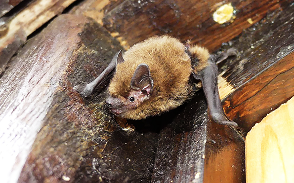 Foto: R. Schmidt, Lizenz: R. Schmidt