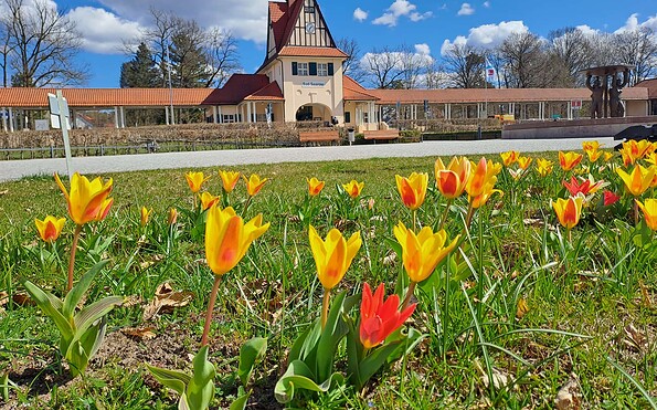 Foto: Nadine Schmidt, Lizenz: Tourismusverein Scharmützelsee