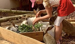 Besuch bei Mümmel & Quieki - Osterferienprogramm