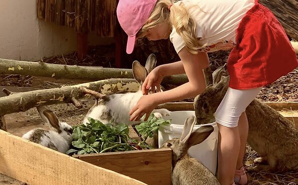 Foto: Scharmuntzelland