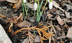 Donnerstagswanderung des PSV Neuruppin e.V.