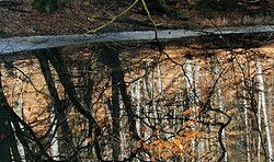 Donnerstagswanderung des PSV Neuruppin e.V.