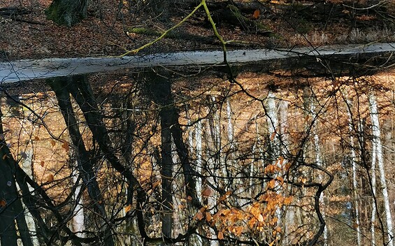 Foto: Mirko Laufmann, Lizenz: Mirko Laufmann