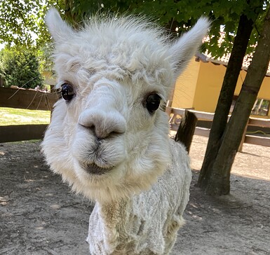Foto: Tourismusverein Scharmützelsee e. V.