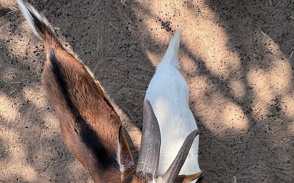 Foto: Laura Beister, Lizenz: Tourismusverein Scharmützelsee