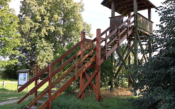 Foto: Uwe Martens, Lizenz: Amt Joachimsthal (Schorfheide)