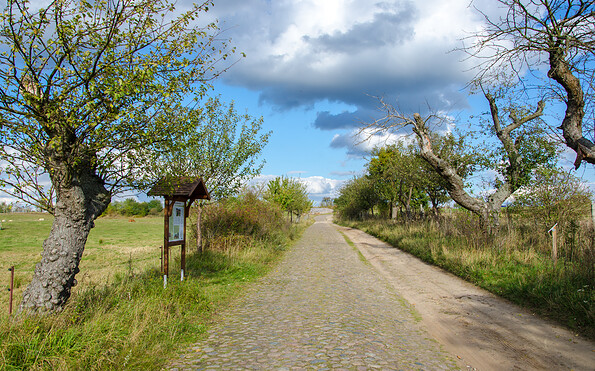 Foto: Michael Mattke, Lizenz: Amt Joachimsthal (Schorfheide)