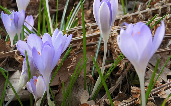 Foto: Ute Bernhardt, Lizenz: Ute Bernhardt