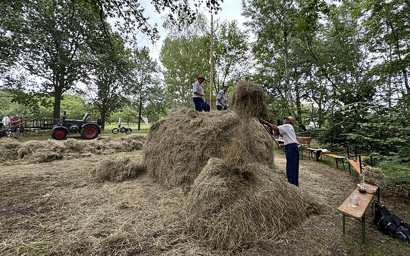 Foto: Michael Holke, Lizenz: Michael Holke