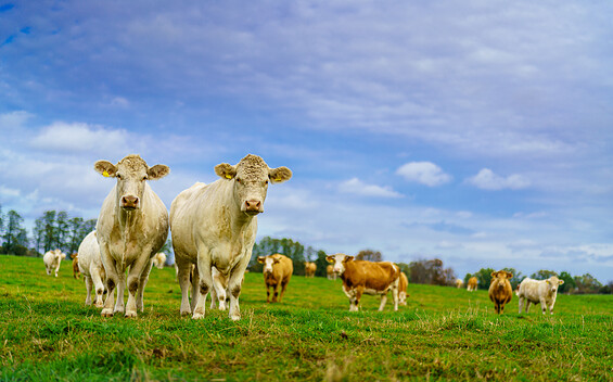 Foto: André Wirsig, Lizenz: REGiO-Nord mbH