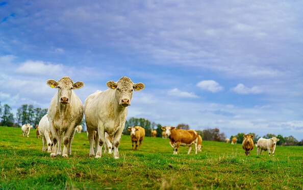 Foto: André Wirsig, Lizenz: REGiO-Nord mbH