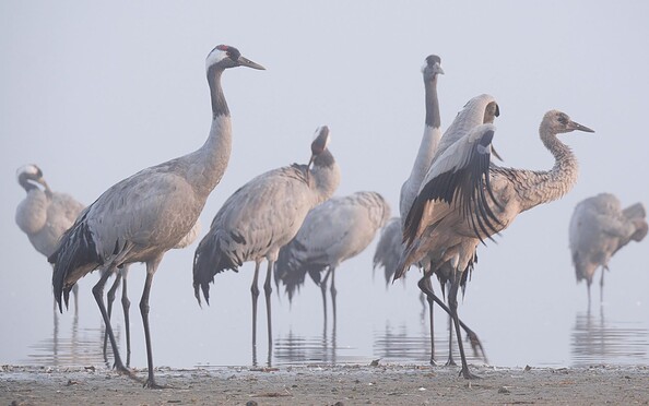 Foto: © Stefan Schulz, KR Film GbR