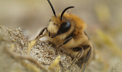 Ökofilmtour in Luckau