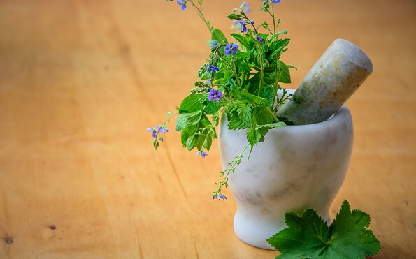 Foto: pexels-photomix-company, Lizenz: Heinz Sielmann Stiftung