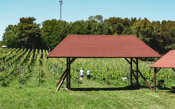 Foto: Petra Förster, Lizenz: Tourismusverband Dahme-Seenland e.V.