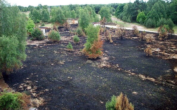 Foto: Ursula Kupper, Lizenz: Naturparkverwaltung Nuthe-Nieplitz